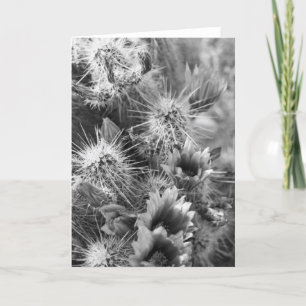 Prickly Cactus Desert Flowers Photo Greeting Card