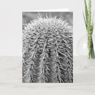Prickly Cactus Sonoran Desert Photo Greeting Cards