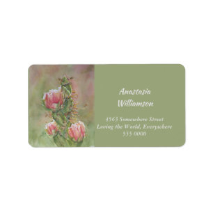 PRICKLY PEACH PEAR CACTUS FLOWER ADDRESS LABEL