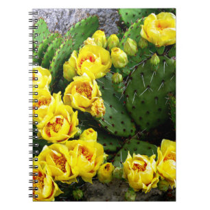 Prickly Pear Against Stone Notebook
