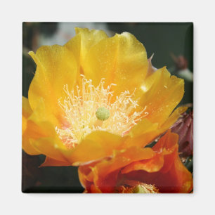 Prickly Pear Blossom Magnet
