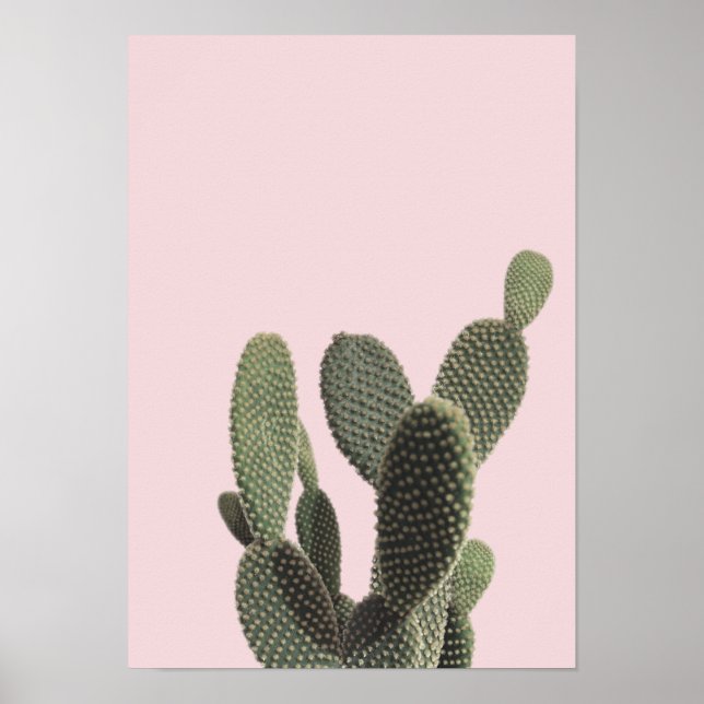 Prickly Pear Cactus and Pink Poster (Front)