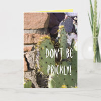 Prickly Pear Cactus Birthday