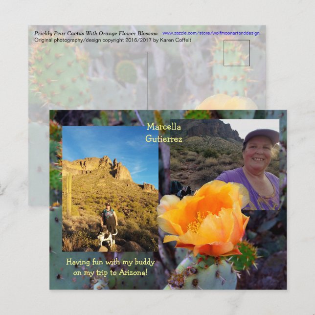 Prickly Pear Cactus Flower / Orange / Arizona USA Postcard (Front/Back)