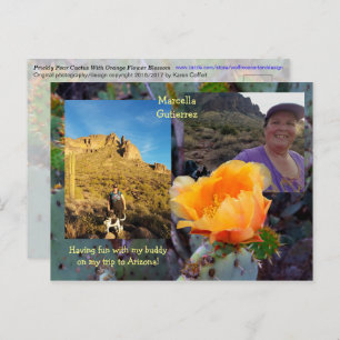 Prickly Pear Cactus Flower / Orange / Arizona USA Postcard