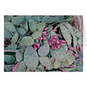Prickly Pear Cactus & Fruit Card