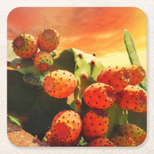 Prickly Pear Cactus Fruits And Red Sky Square Paper Coaster