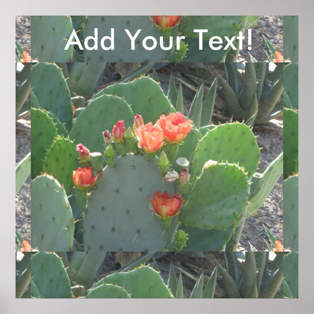 Prickly Pear Cactus Green Red Bloom Poster (Front)