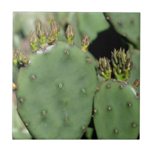 Prickly Pear Cactus Nature Tile