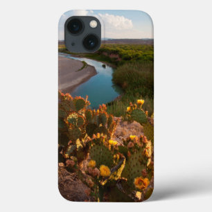 Prickly Pear Cactus (Opuntia Sp.) iPhone 13 Case