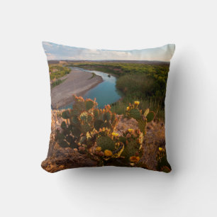 Prickly Pear Cactus (Opuntia Sp.) Cushion