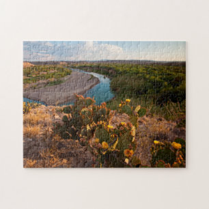 Prickly Pear Cactus (Opuntia Sp.) Jigsaw Puzzle