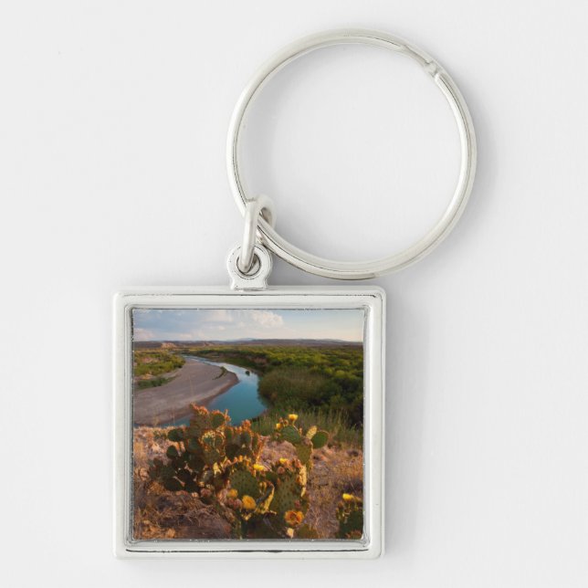 Prickly Pear Cactus (Opuntia Sp.) Key Ring (Front)