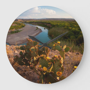 Prickly Pear Cactus (Opuntia Sp.) Large Clock