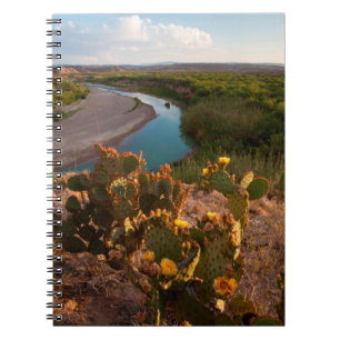 Prickly Pear Cactus (Opuntia Sp.) Notebook
