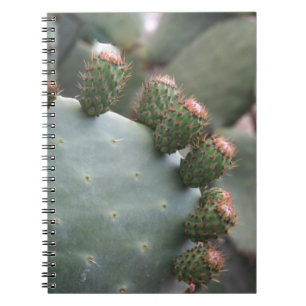 Prickly Pear Cactus with Buds Notebook
