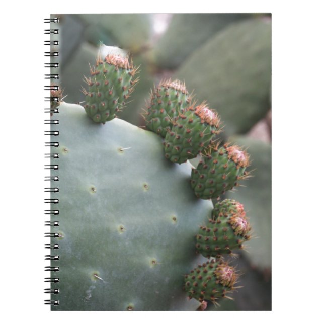 Prickly Pear Cactus with Buds Notebook (Front)
