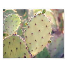 Prickly Pear Closeup | Photo Print