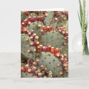 Prickly pear greeting card