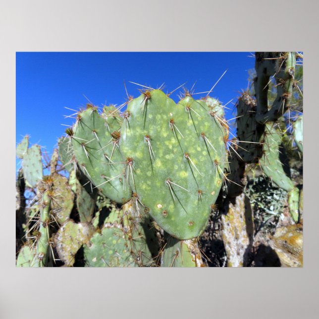 Prickly Pear Hearts Poster (Front)