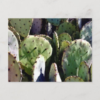 Prickly Pear No. 3 Postcard