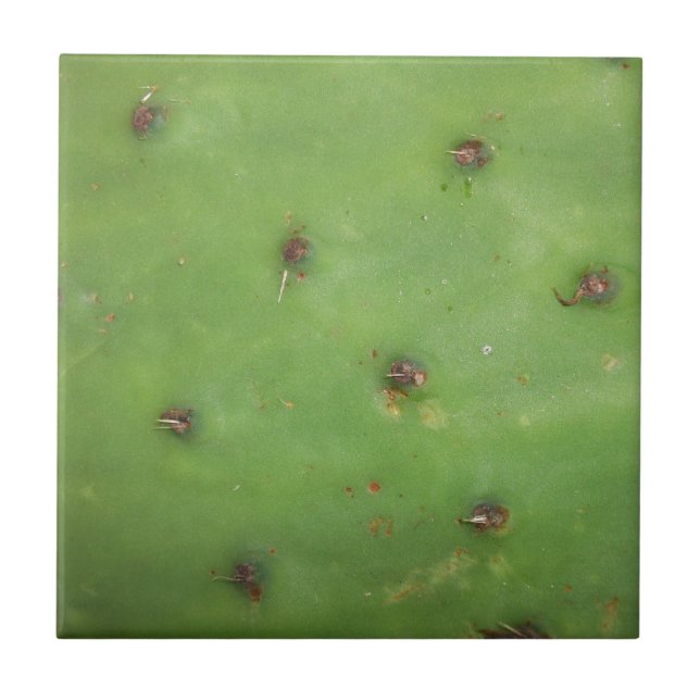 Prickly Pear Pad Tile (Front)