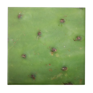 Prickly Pear Skin Tile