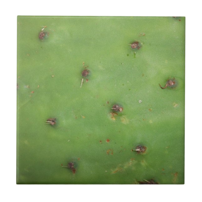 Prickly Pear Skin Tile (Front)