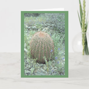 Prickly Pink Petals Cactus Greeting or Note Cards