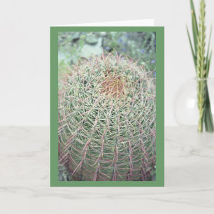 Prickly Pink Swirl Cactus Greeting or Note Cards