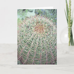 Prickly Pink Swirl Cactus Greeting or Note Cards