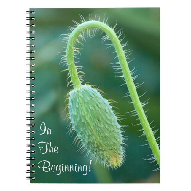 Prickly Poppy Bud In Progress Close-Up Photograph Notebook (Front)