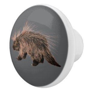 Prickly Porky Ceramic Knob