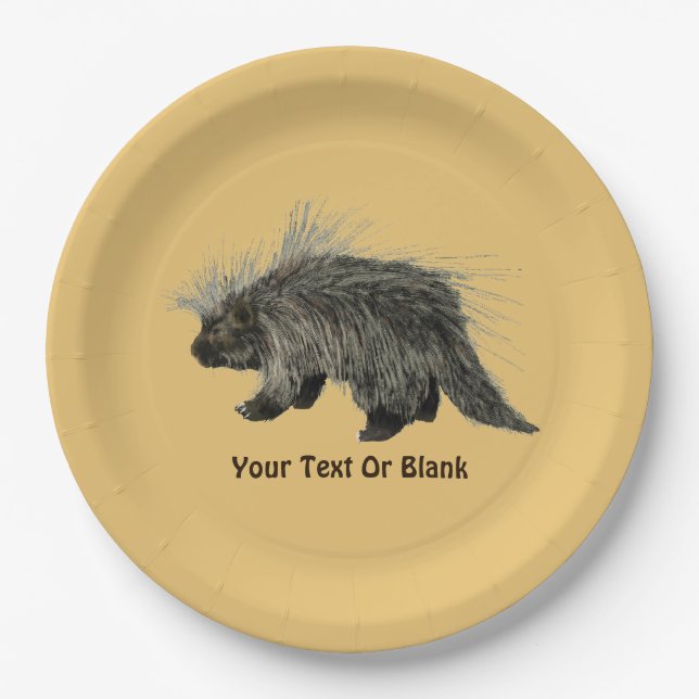 Prickly Porky Paper Plate (Front)