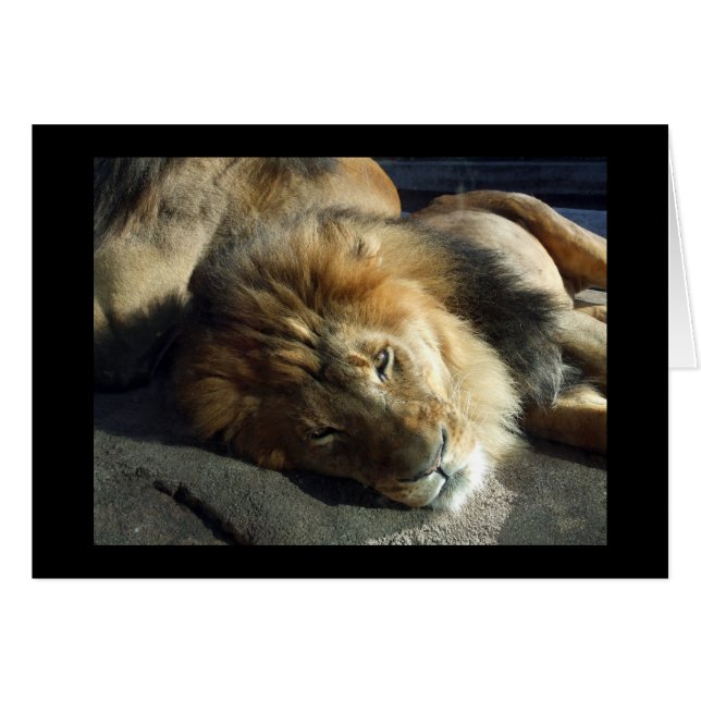 Pride (Front Horizontal)