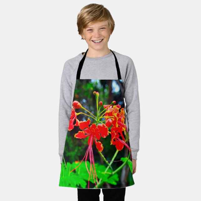 Pride of Barbados   Apron (Worn)