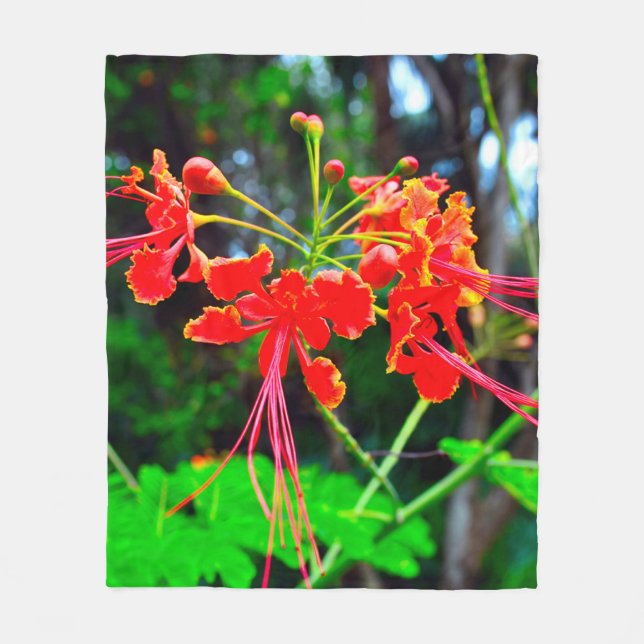 Pride of Barbados   Fleece Blanket (Front)