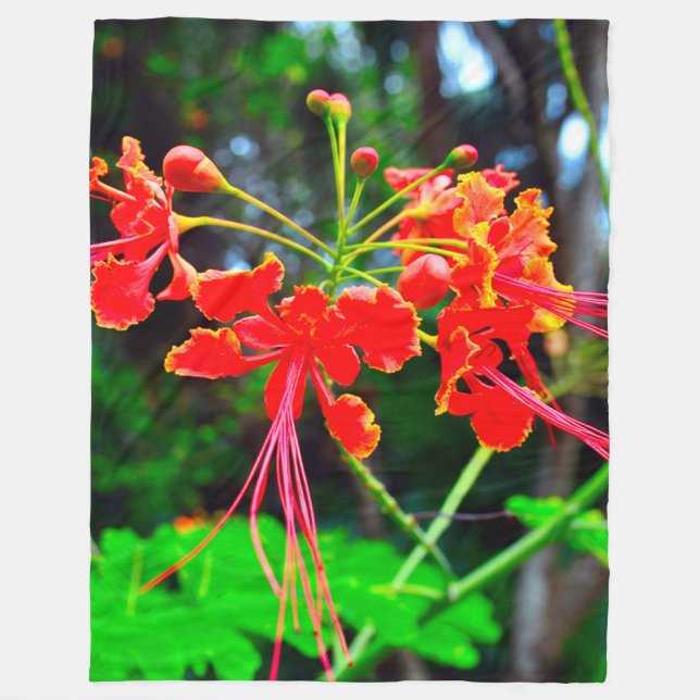Pride of Barbados   Fleece Blanket (Front)
