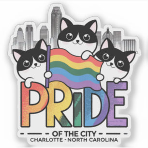 Pride of Charlotte City North Carolina USA Rainbow