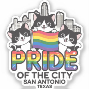 Pride of San Antonio City Texas USA Rainbow Flag