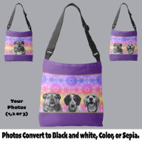 Pride Rainbow Pattern Black and White Dog Photo(s)