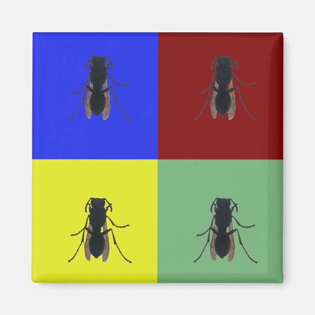 Primary Wings Magnet (Front)