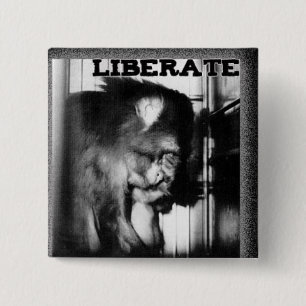 Primate Freedom Button
