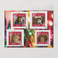 primate rescue cindy postcard