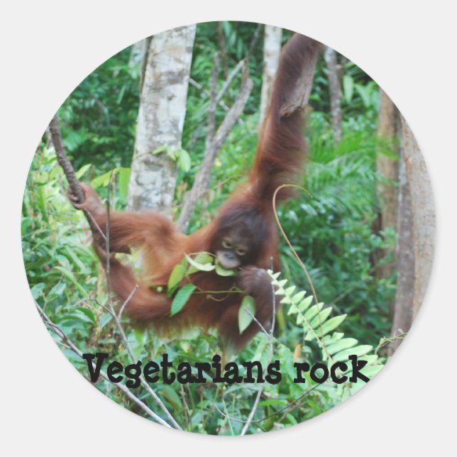 Primate Vegetarians Rock ! Classic Round Sticker (Front)