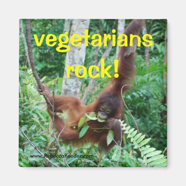 Primate Vegetarians rock! Magnet (Front)