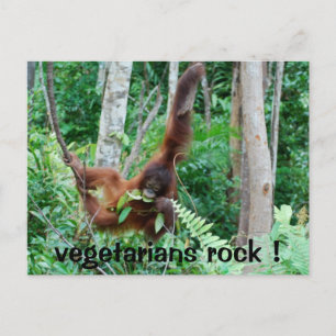 Primate Vegetarians Rock ! Postcard