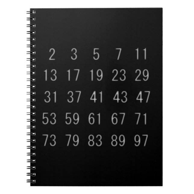 Prime Numbers Mathmatics Science Geek Notebook (Front)