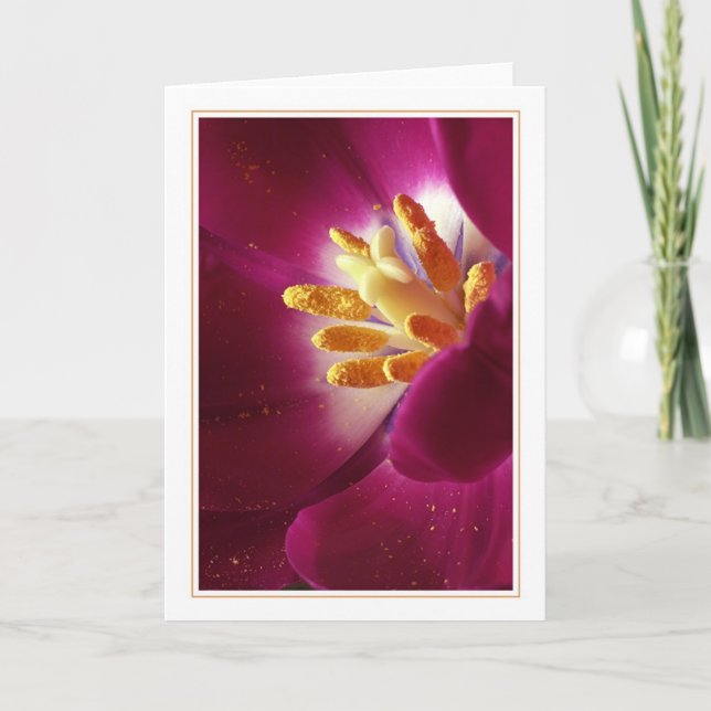 Prime of Life Card (Front)