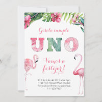Primer Añito Flamenco | 1st Birthday Flamingo
